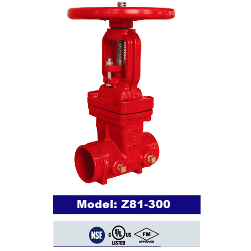 Model Z81-300.